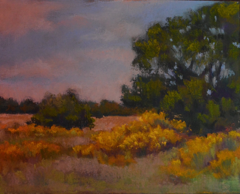 Central Texas in Mills County by artist Julia Fletcher